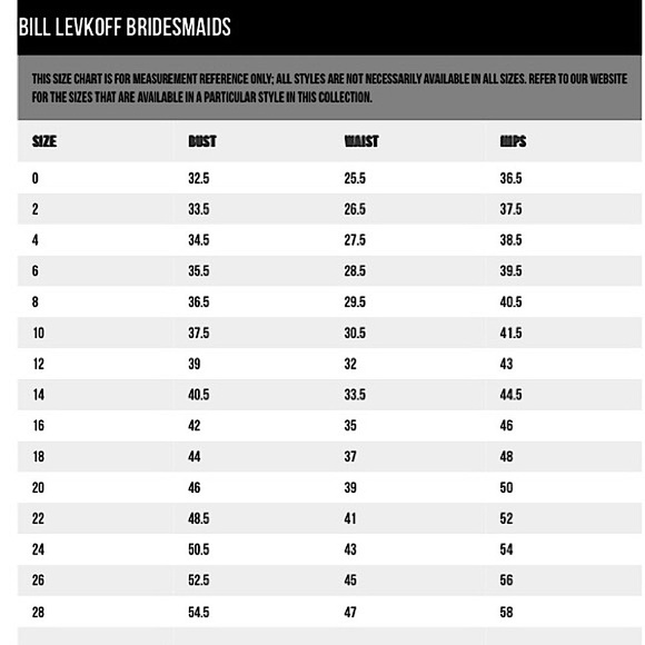 BRAND NEW Ash Rose Satin BILL LEVKOFF BRIDESMAIDS DRESS SIZE 10 - Picture 4 of 5